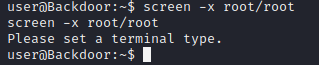 Screen requires a terminal type to be set.