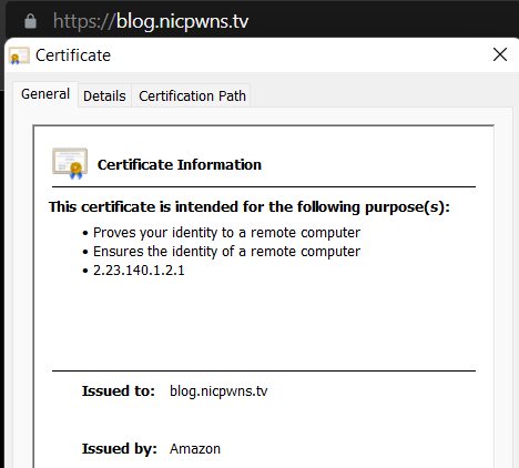 Verifying SSL certificate issued by Amazon for created blog.