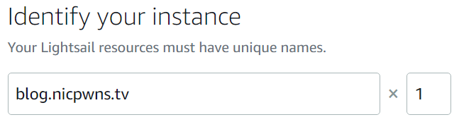 Specifying the name of the Lightsail instance matching the name of the blog being created.